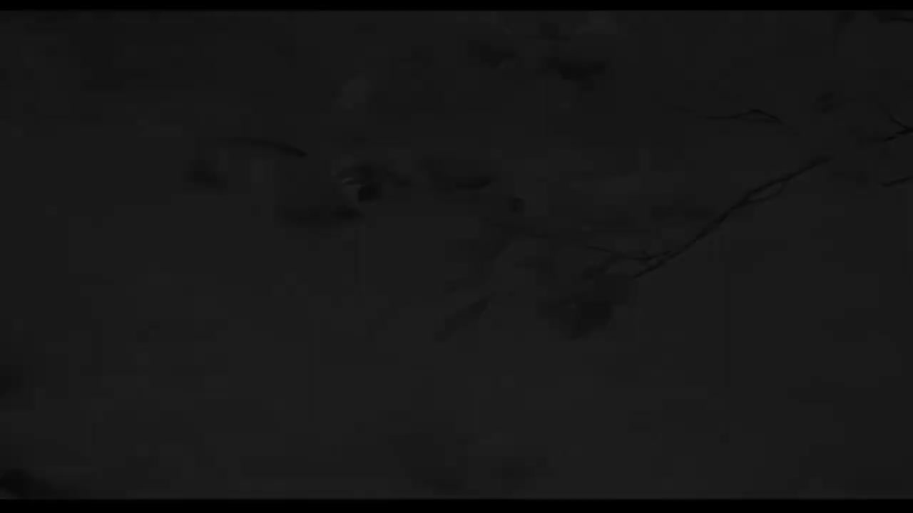 38. 【4K修复】梁静茹 - 可惜不是你 MV 2160P修复版