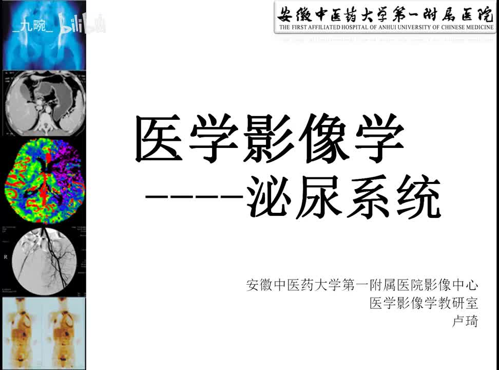 29 泌尿生殖-1-泌尿系统检查技术