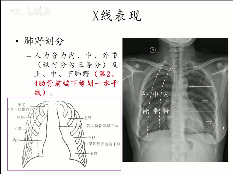 12-呼吸-2 呼吸的正常表现及基本病变1