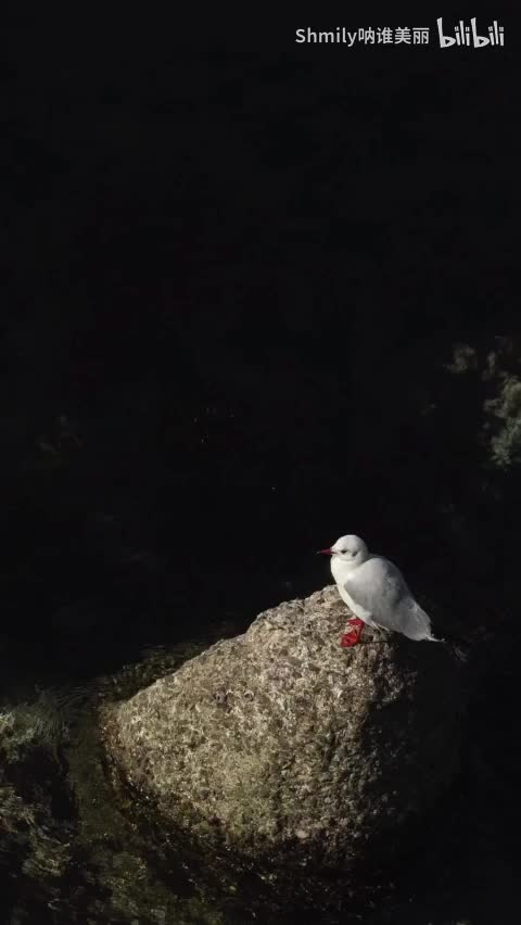 20241028 175111 聊一会