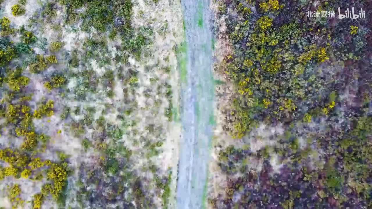 匈牙利狂想曲 in C-Sharp Minor, S. 244, No. 2 in C-Sharp Minor, S. 244, No. 2 (为钢琴而作) -