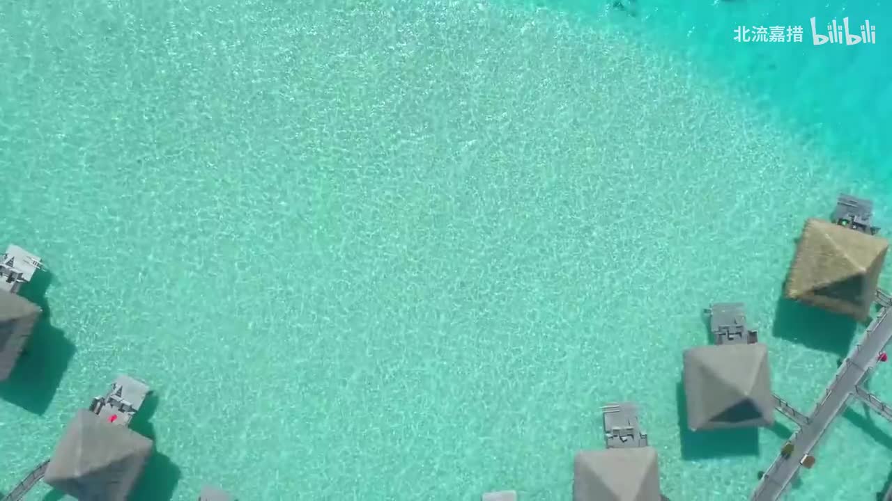 主题变奏曲, K. 620 魔笛 (莫扎特) - 淑清