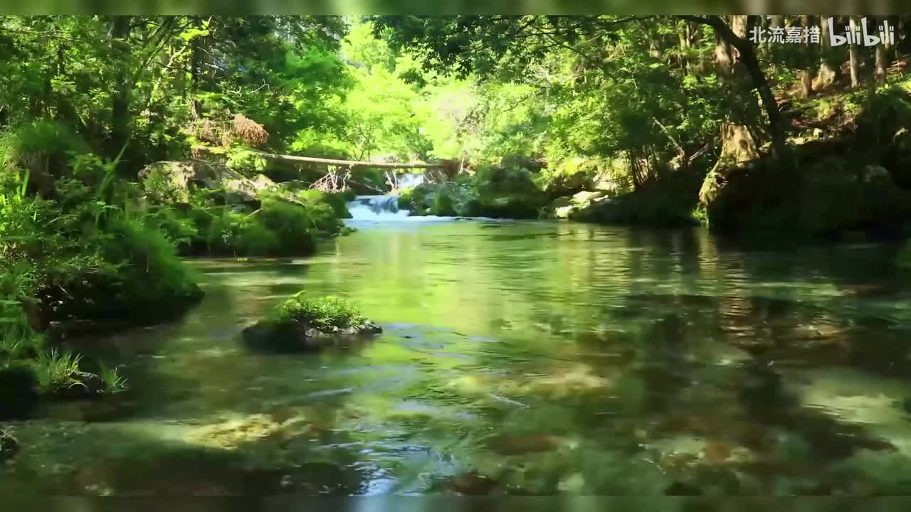 莫扎特 小步舞曲 K.527 (选自唐璜) - 钟宇强