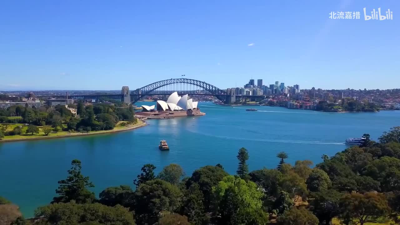 天鹅 (动物狂欢节) - 钟宇强