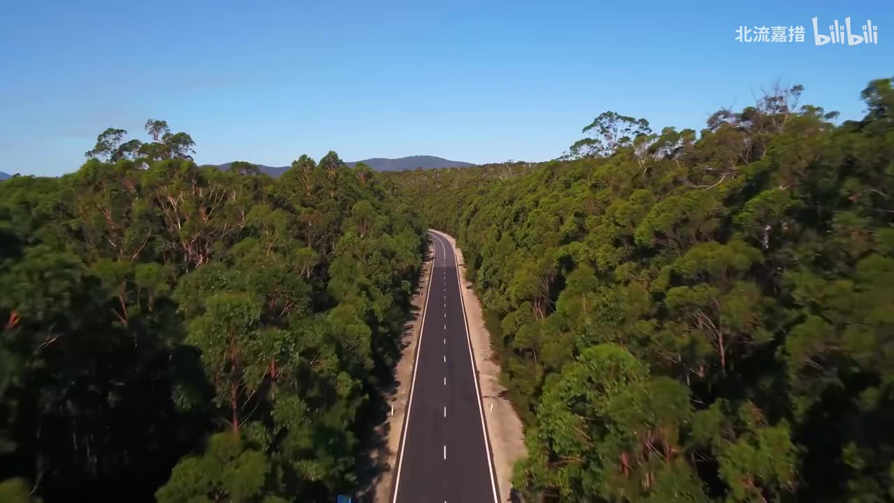 拉赫玛尼诺夫 意大利波尔卡, TN ii21 - 秋琴紫若