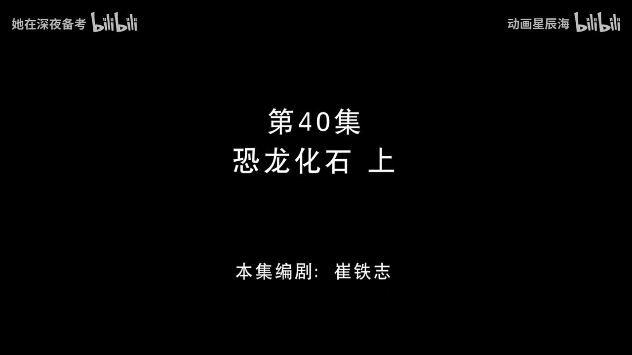 40：恐龙化石 上