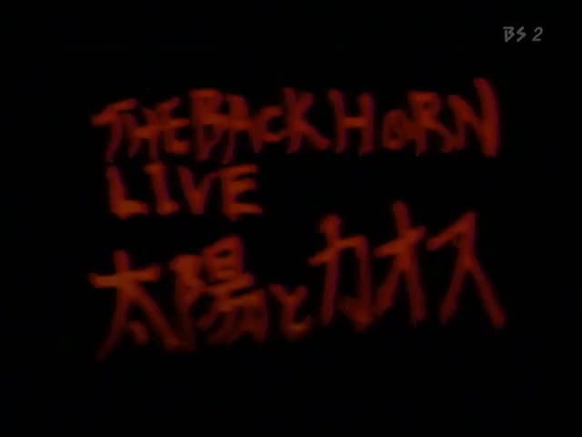 01 カオスダイバー