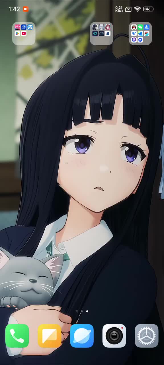 效果展示