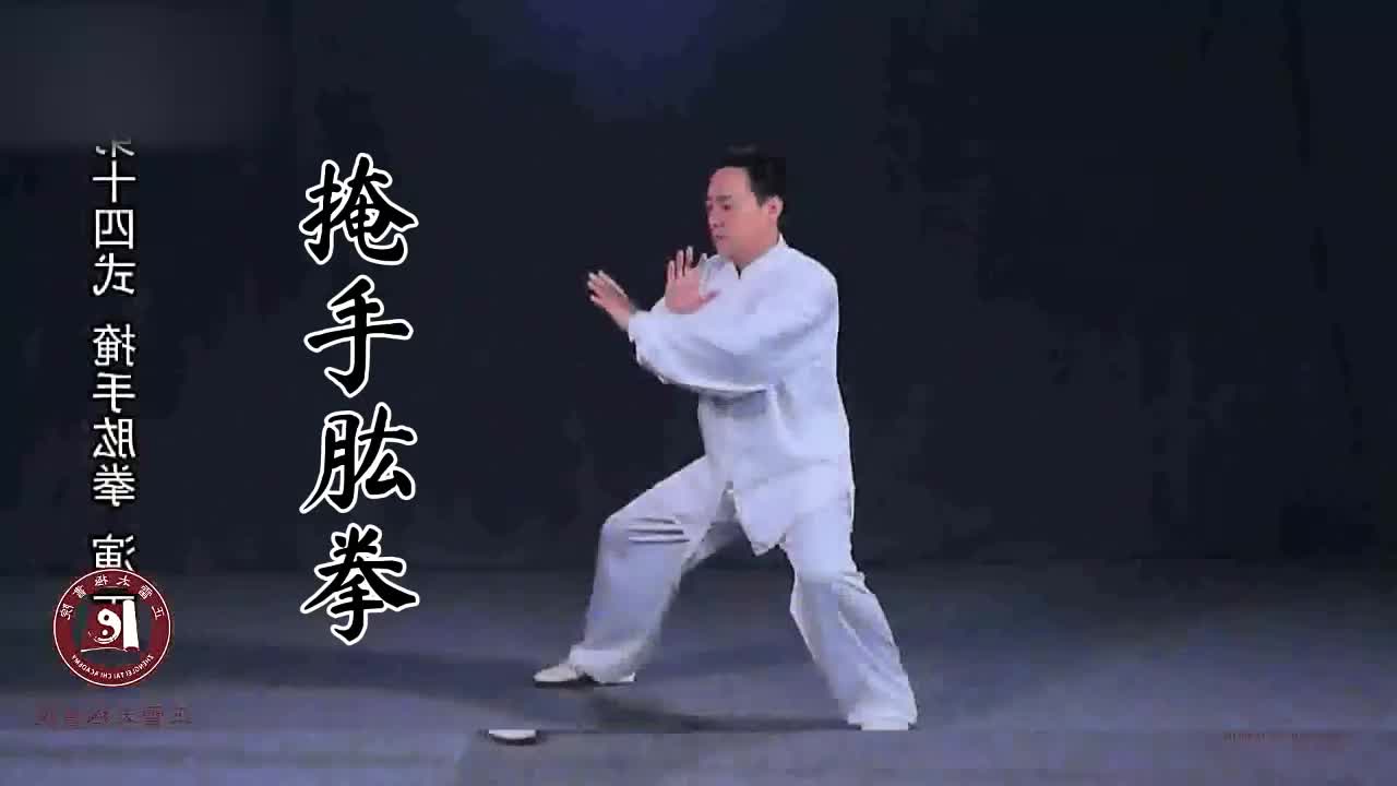 第十四式-掩手肱拳