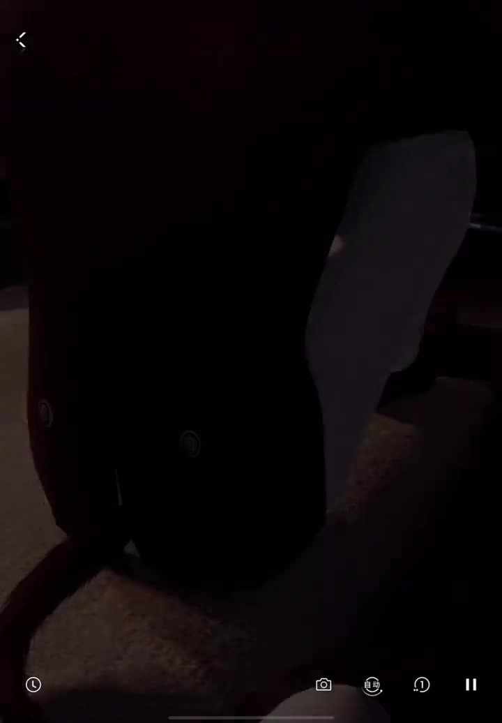 摇尾时刻·猫猫卡