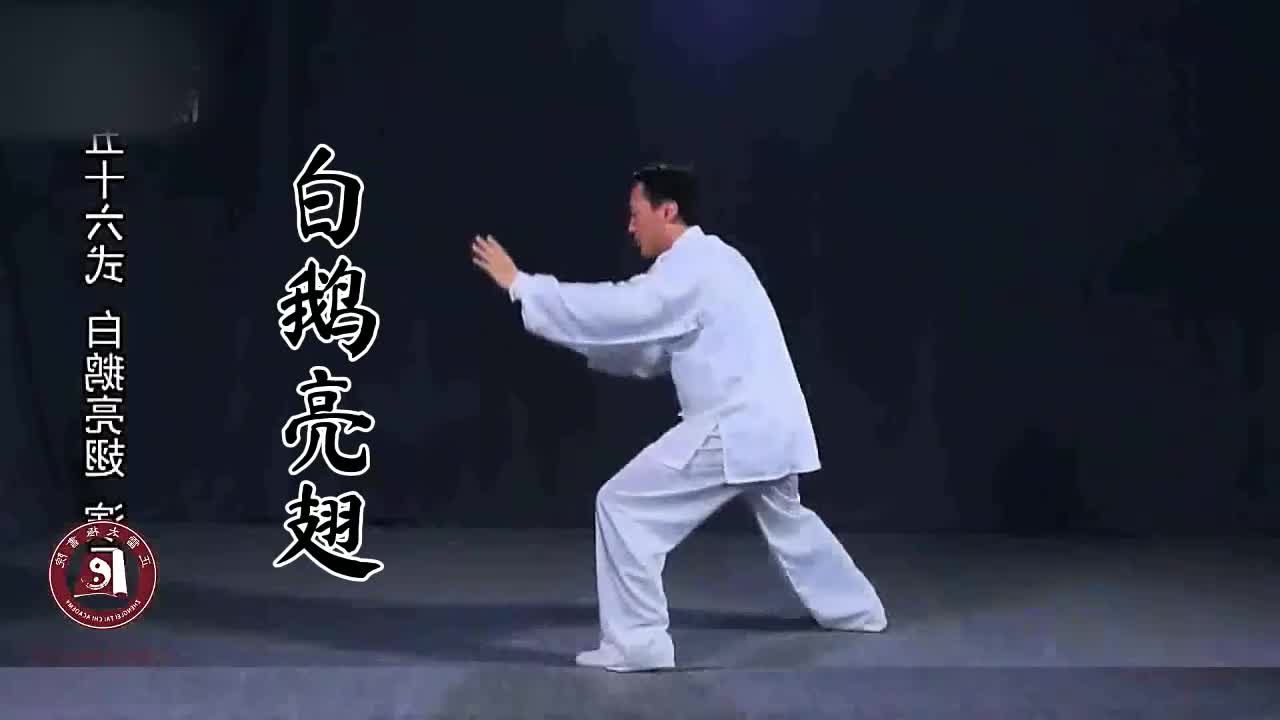 第五十六式-白鹅亮翅