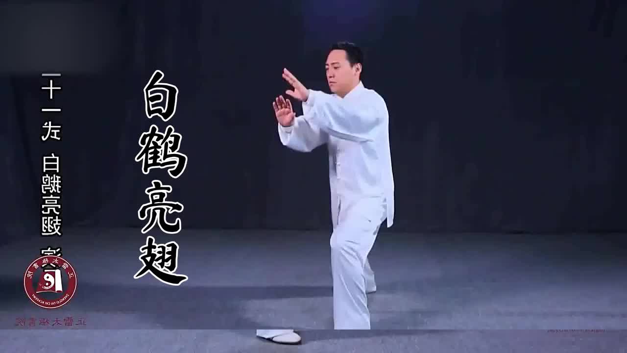 第二十一式-白鹤亮翅