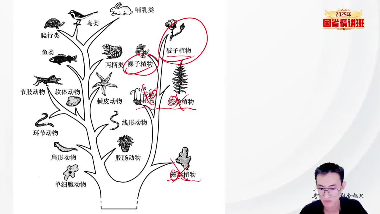 61.常识-理论精讲9