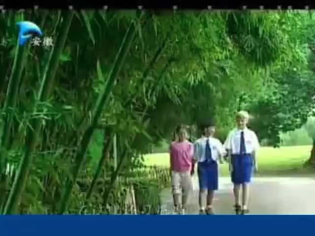 安徽美佛儿-2008年