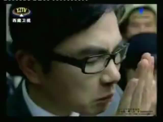 冷若萌碧生源常润茶-2010年