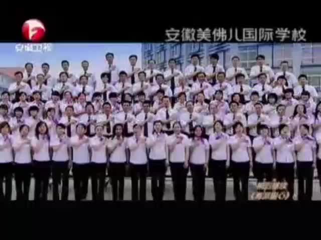 安徽美佛儿-2010年至2011年