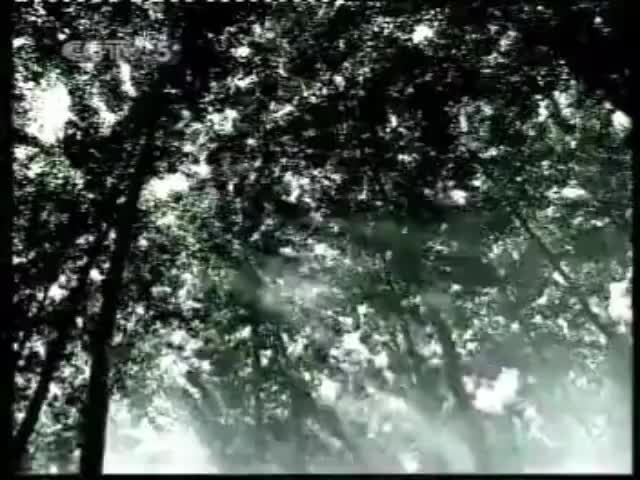 互联星空-2005年