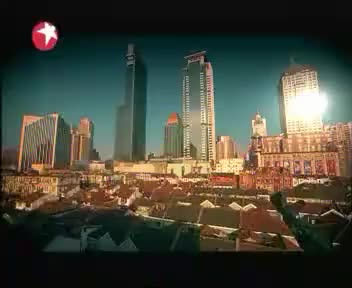 [86942]_[东方卫视]_[上海东方卫视]_[2009-01-31]