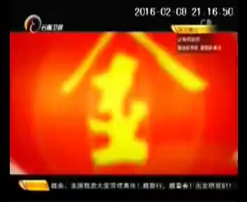 [227529]_[金嗓子]_[云南卫视]_[2016-02-13]