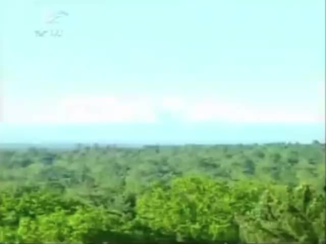 吉林长白山天然矿泉水