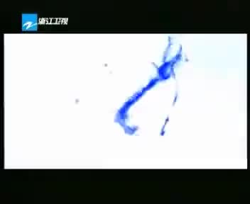 [96744]_[浙江卫视]_[浙江卫视]_[2009-07-07]