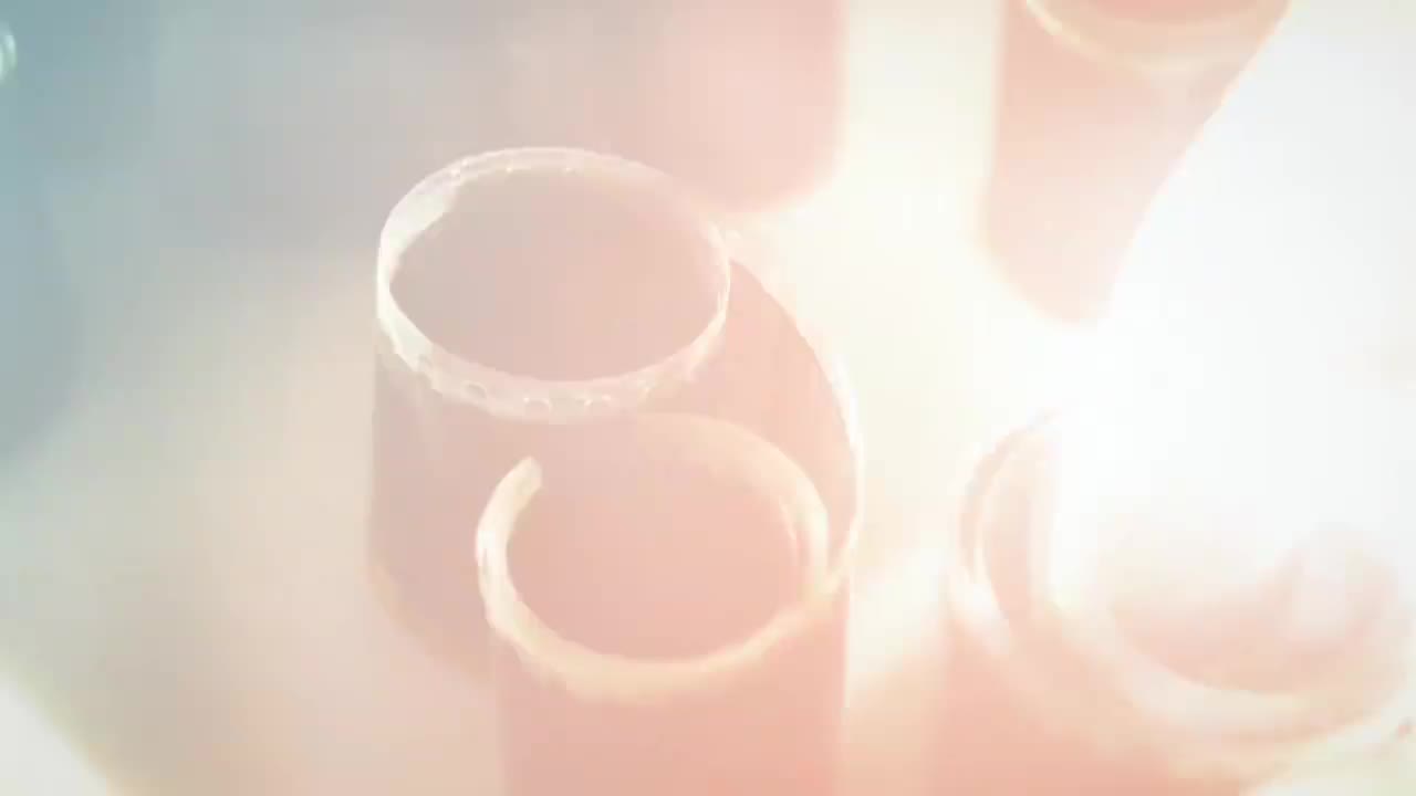 《“我爱哈尔滨 我们都是哈尔滨人”世界原居哈尔滨人全球拍摄纪实活动》