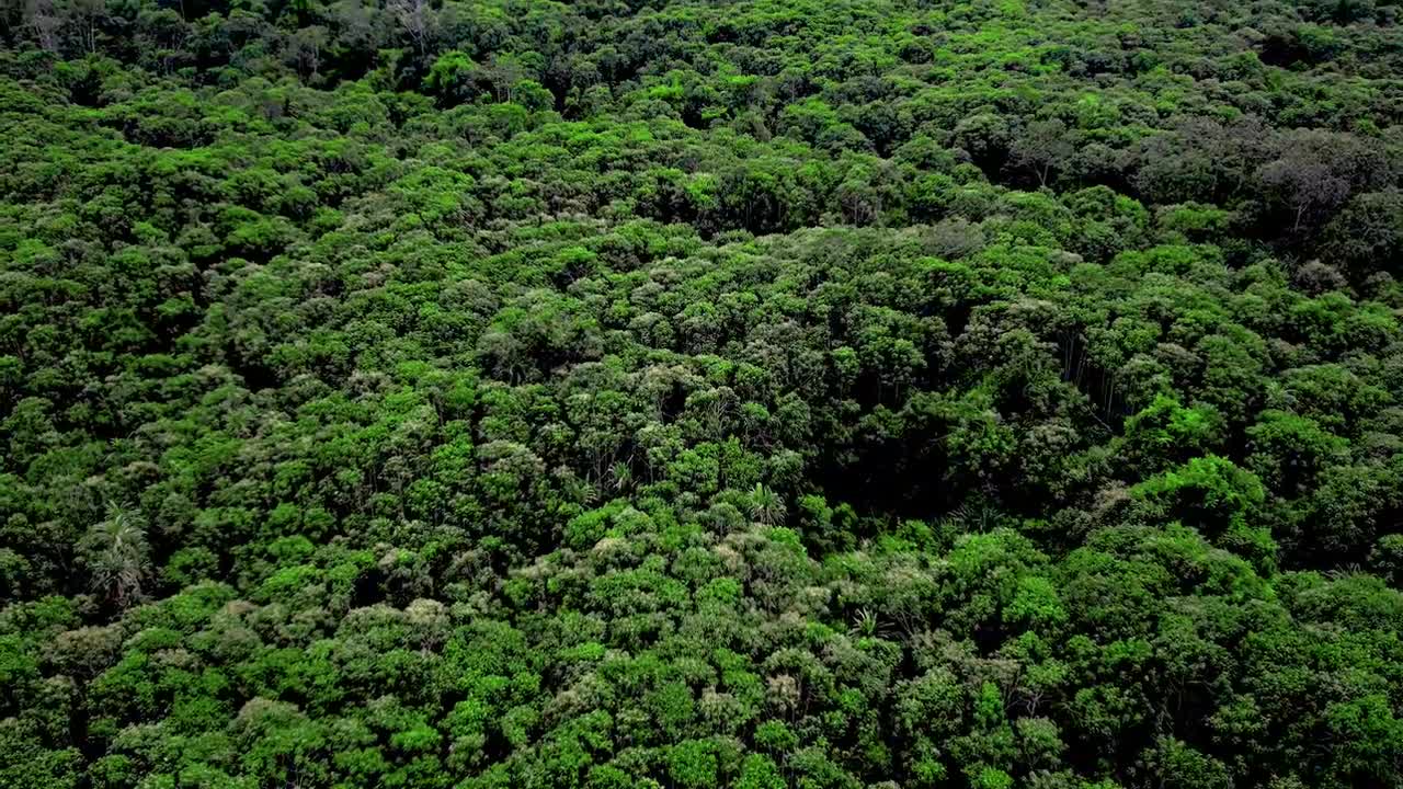 《马东铁路“环境官”的中国情缘》