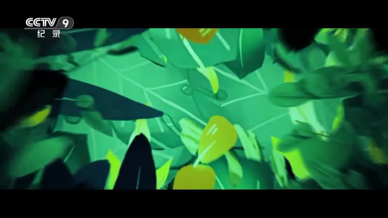 第2集：竹林里的战斗机