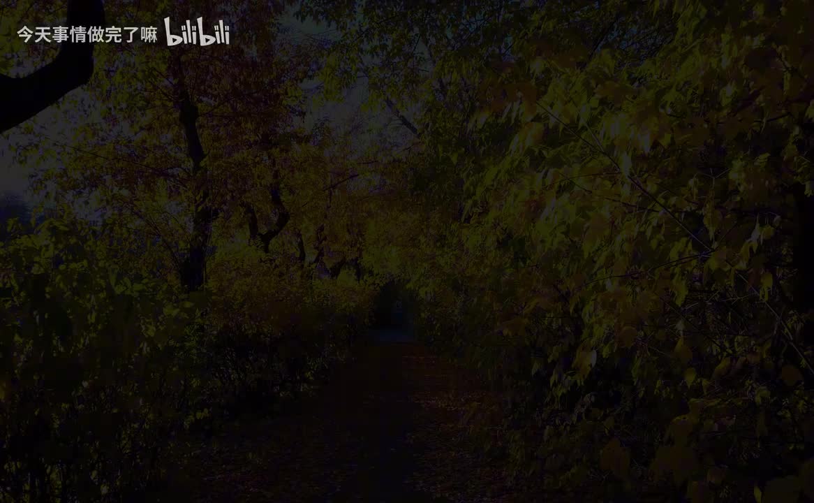 P2无阴影＋美雪翻唱