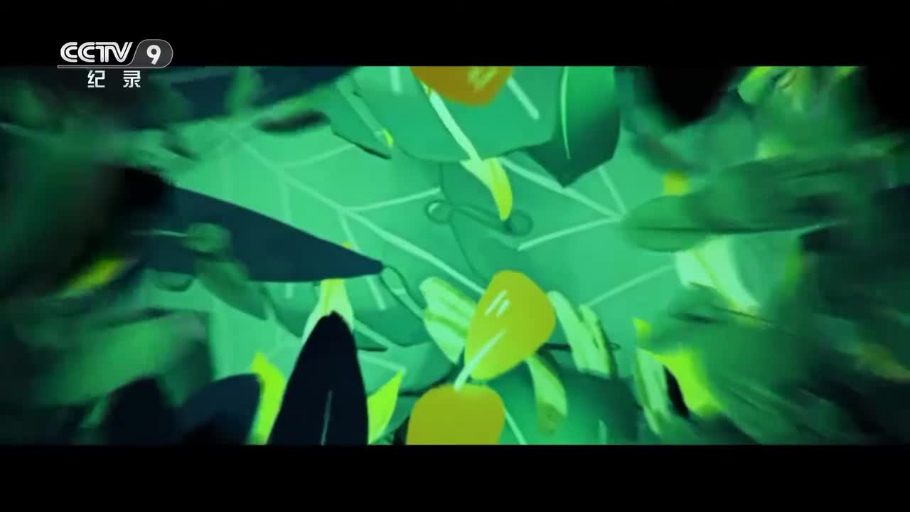 第7集：蜜蜂也鸡娃