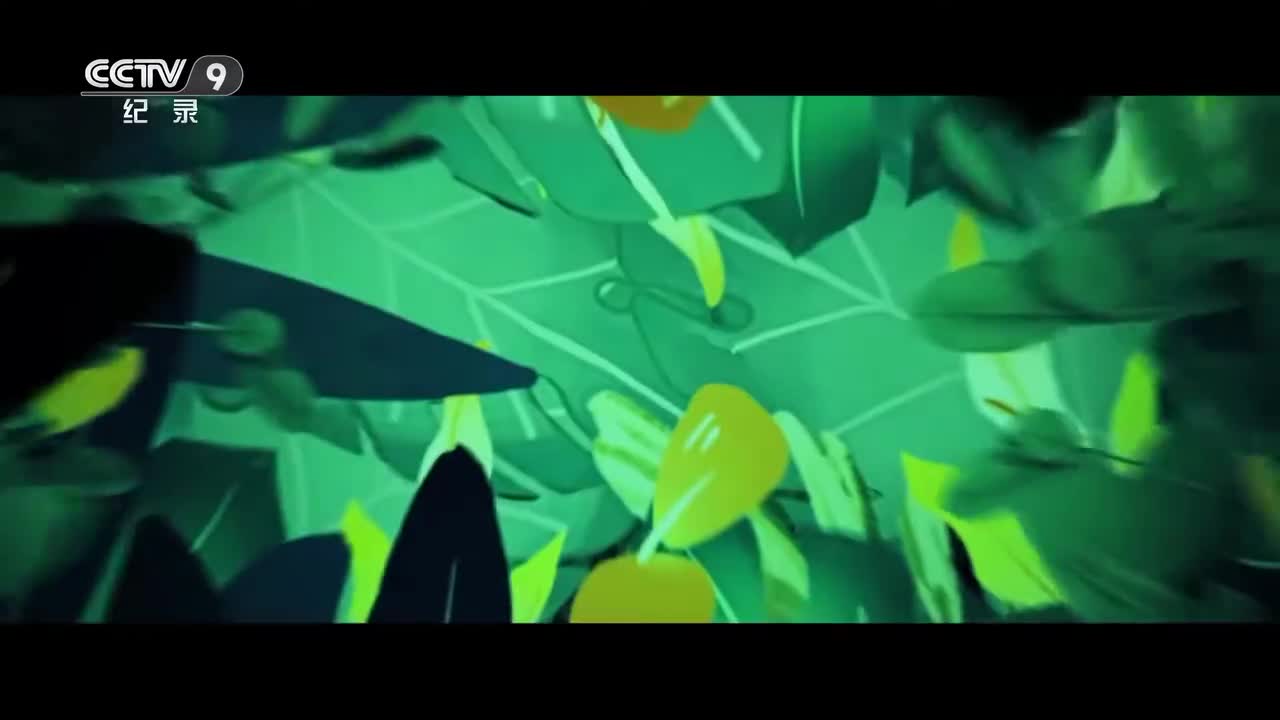 第8集：爱上果子的小蜥蜴