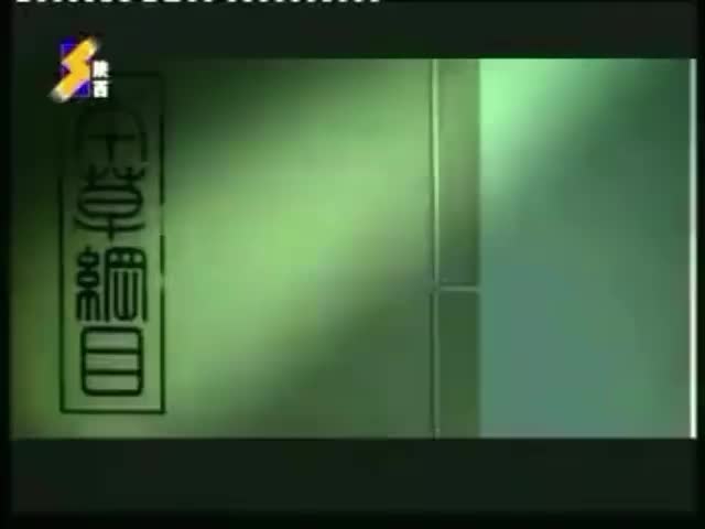 田七本草银杏牙膏-2005年至2007年