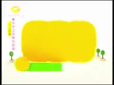 2013冠名 飞行唱跳会