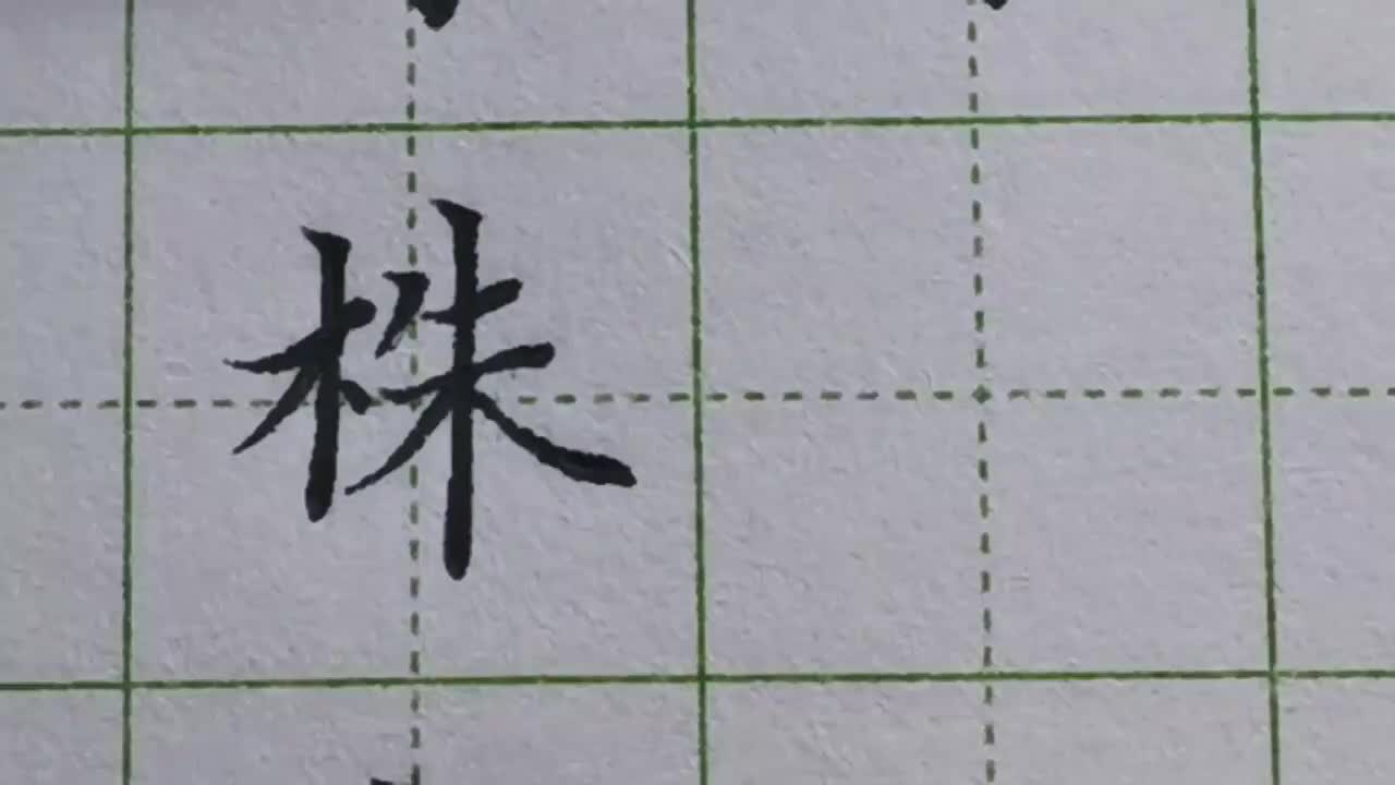 037-「株」大多数左右结构的字，两边都会写得相对紧凑