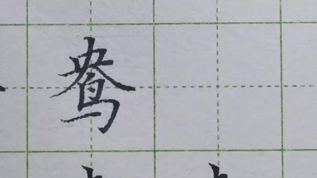 003-「鸯」上小下大，撇捺中间夹角要写大，鸟字穿插在夹角中