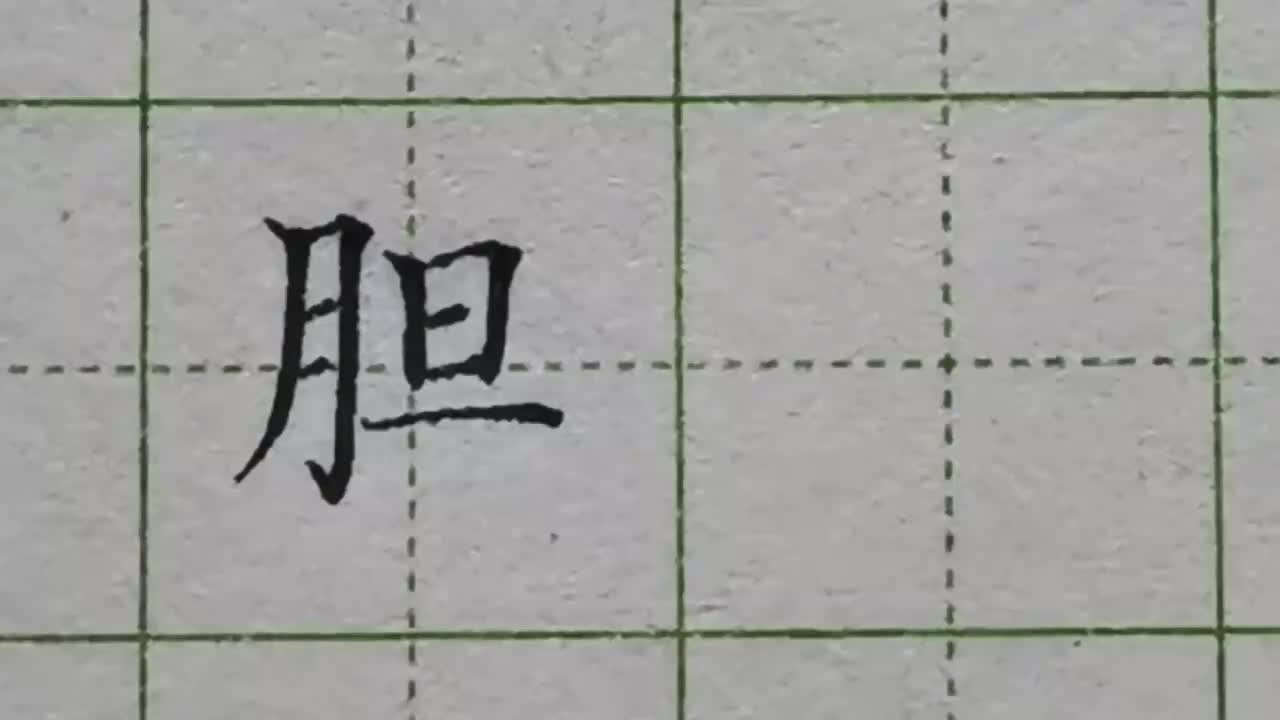 165-「胆」旦作为右偏旁时都要压缩着书写，以免让字比例失调