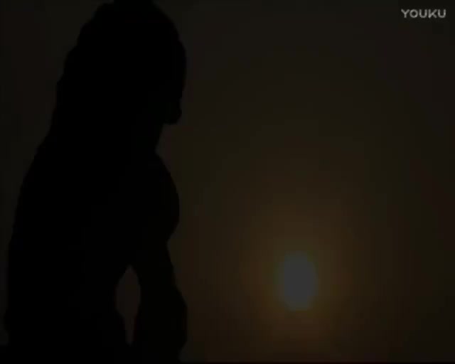 修身正能量第39集