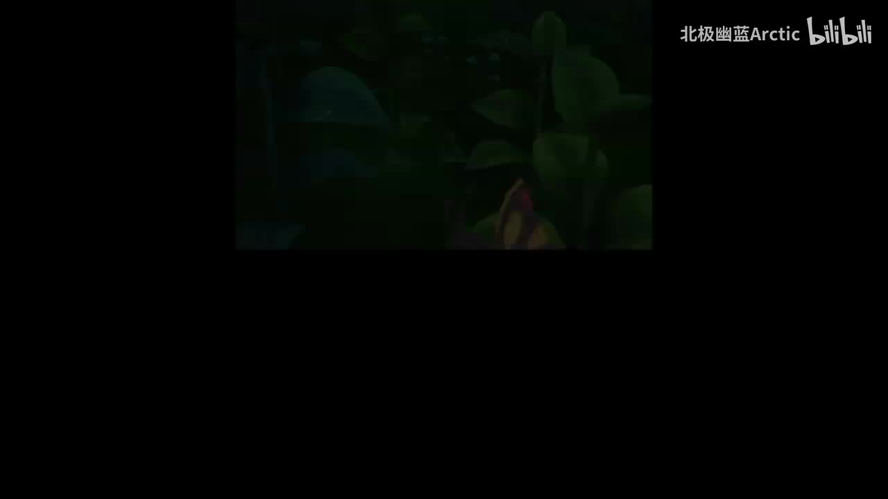 未白镇-古玫镇-橙华市-卡那兹市-武斗镇