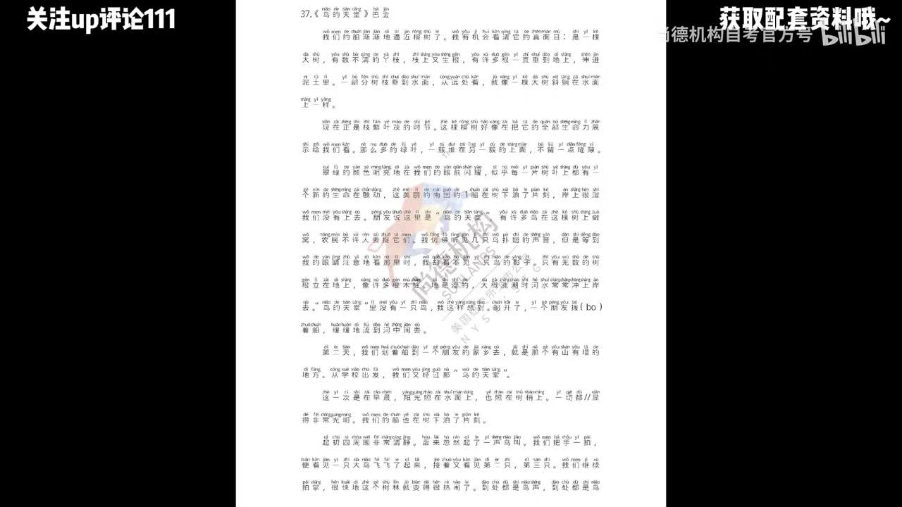 37.《鸟的天堂》