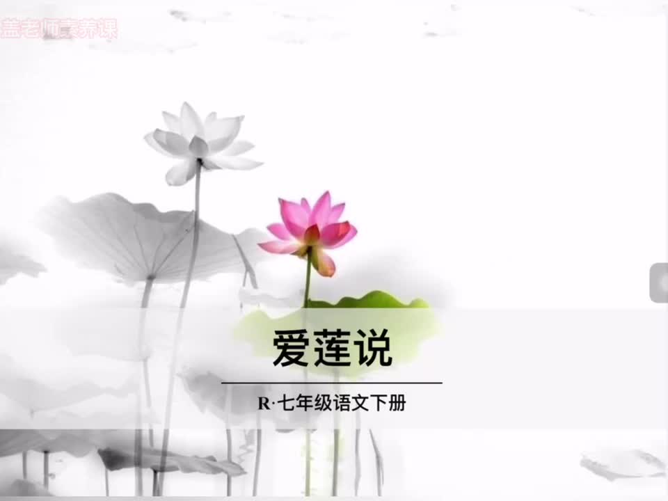 611.11-14 七下17爱莲说