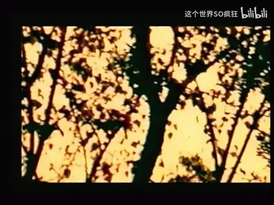 撕夜 - 阿杜