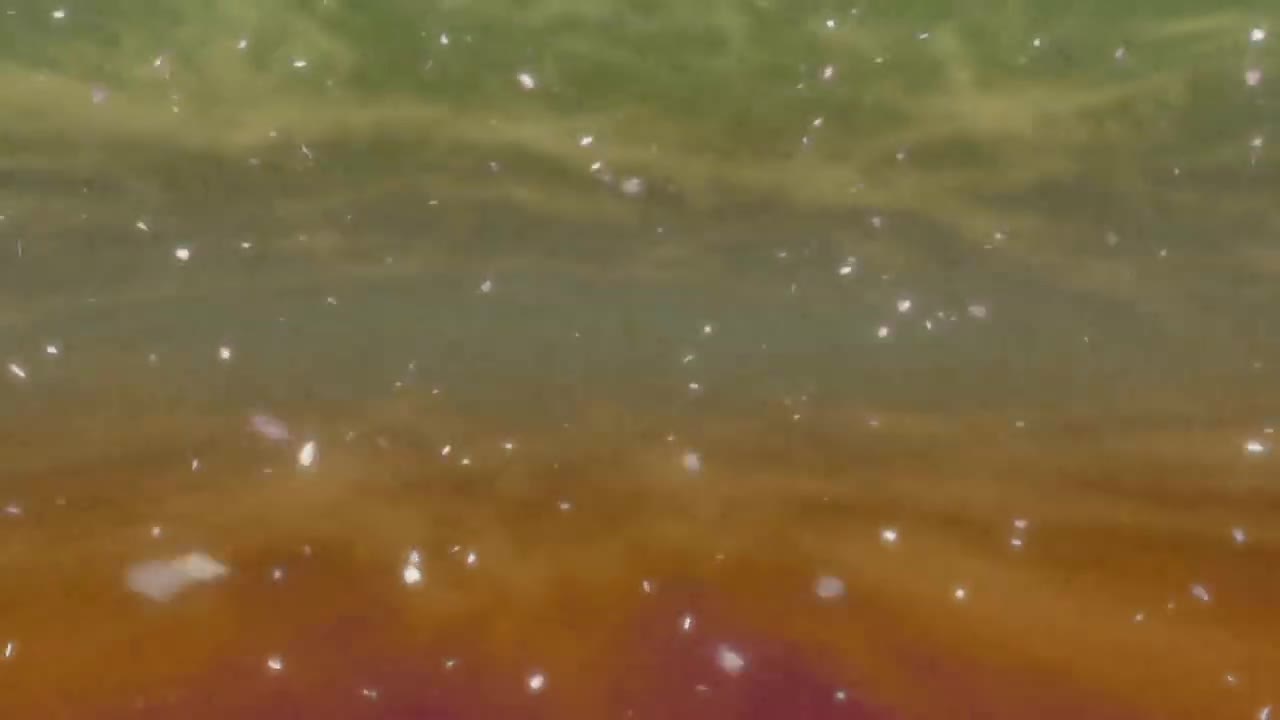 OP20【与服部平次共度的3天】涙のイエスタデー（泪之往昔）/ GARNET CROW