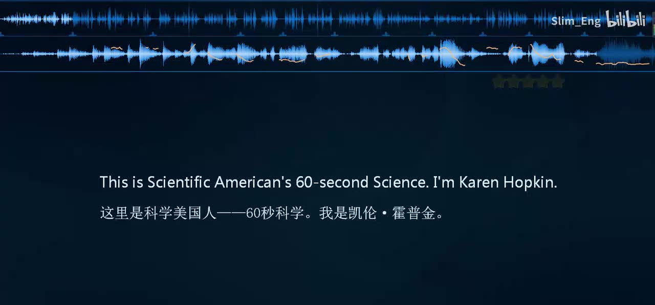 0020 科学美国人-猫咪也会很黏人