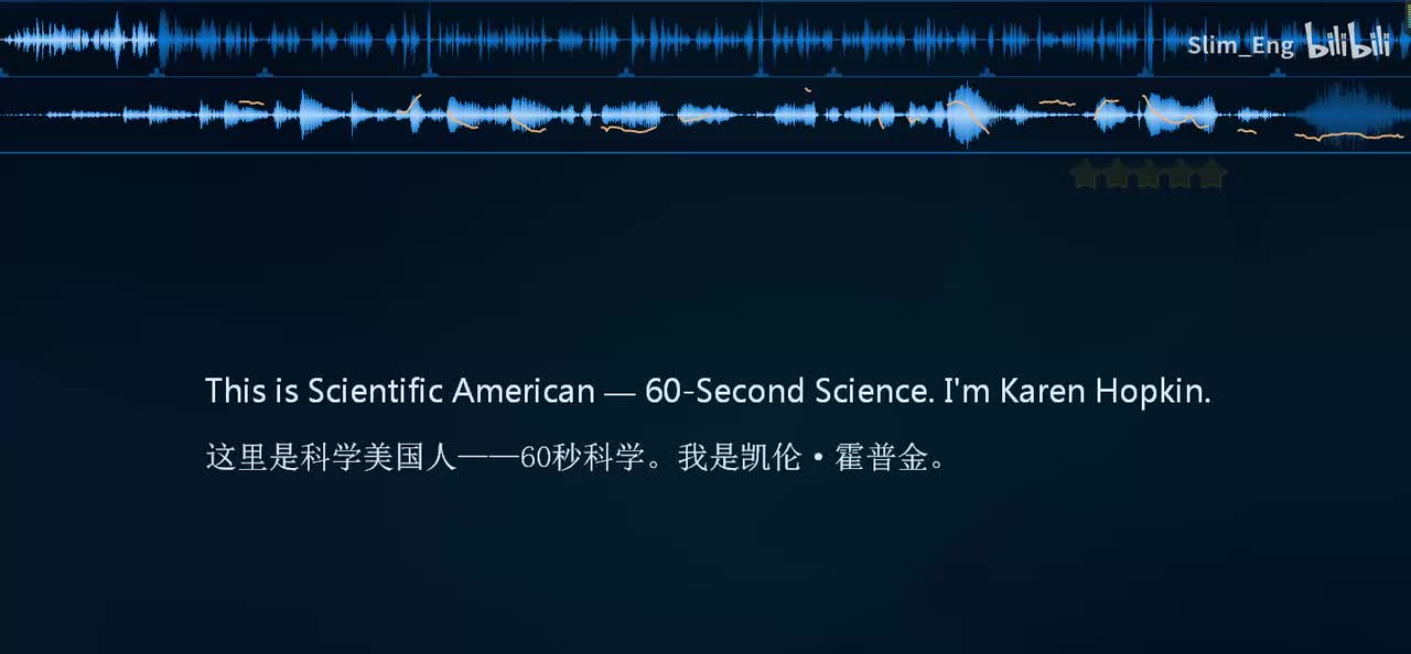 0051 科学美国人- 意大利面谜题