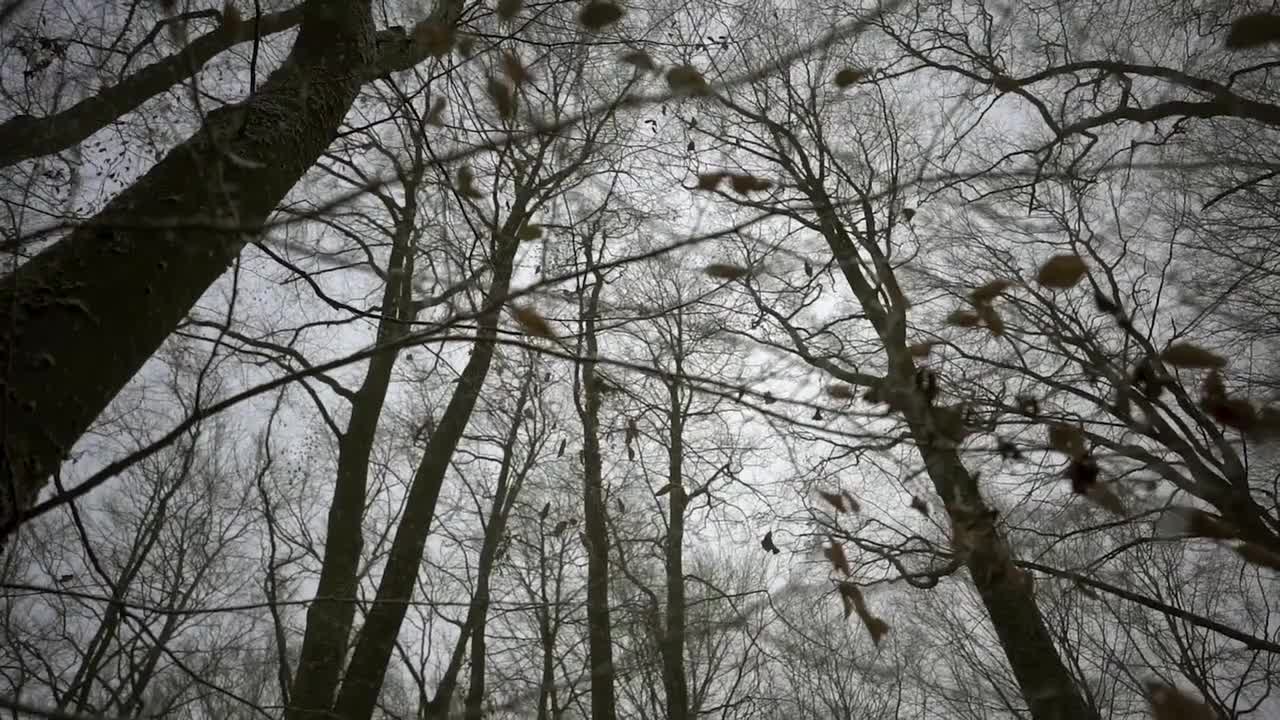 159. The Lies of Modern Friendships, Social Anxiety and Loneliness