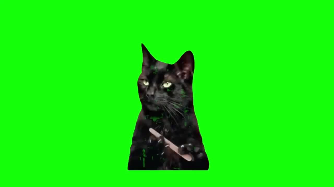 黑猫磨指甲（有声）