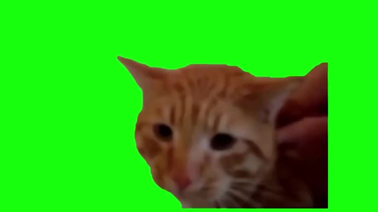 老吴猫（有声）