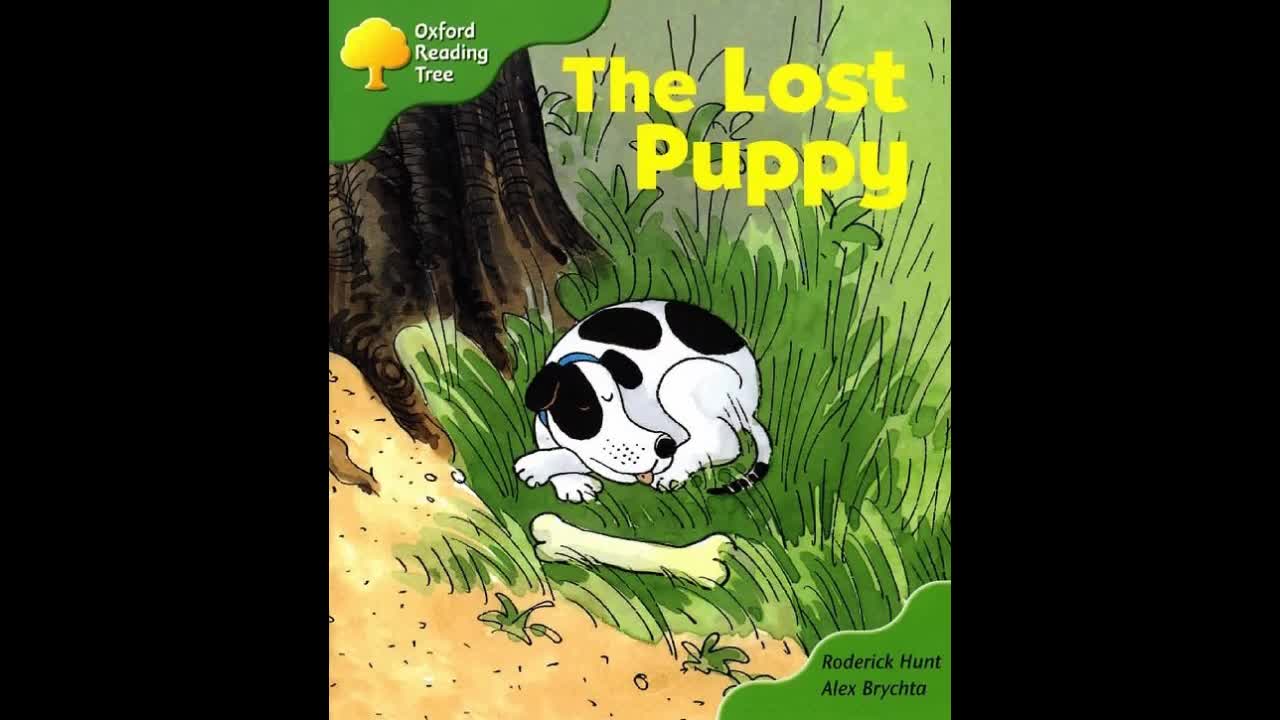 The Lost Puppy