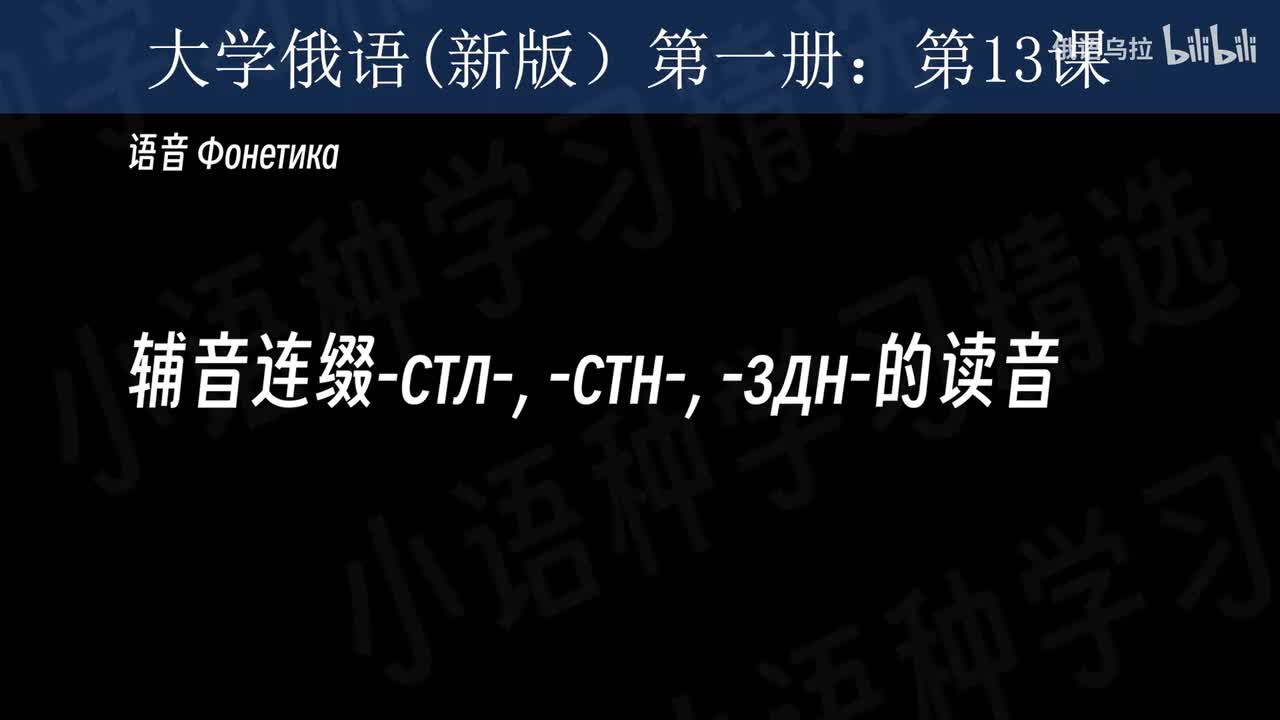 013：大学俄语(新版)第一册：第十三课