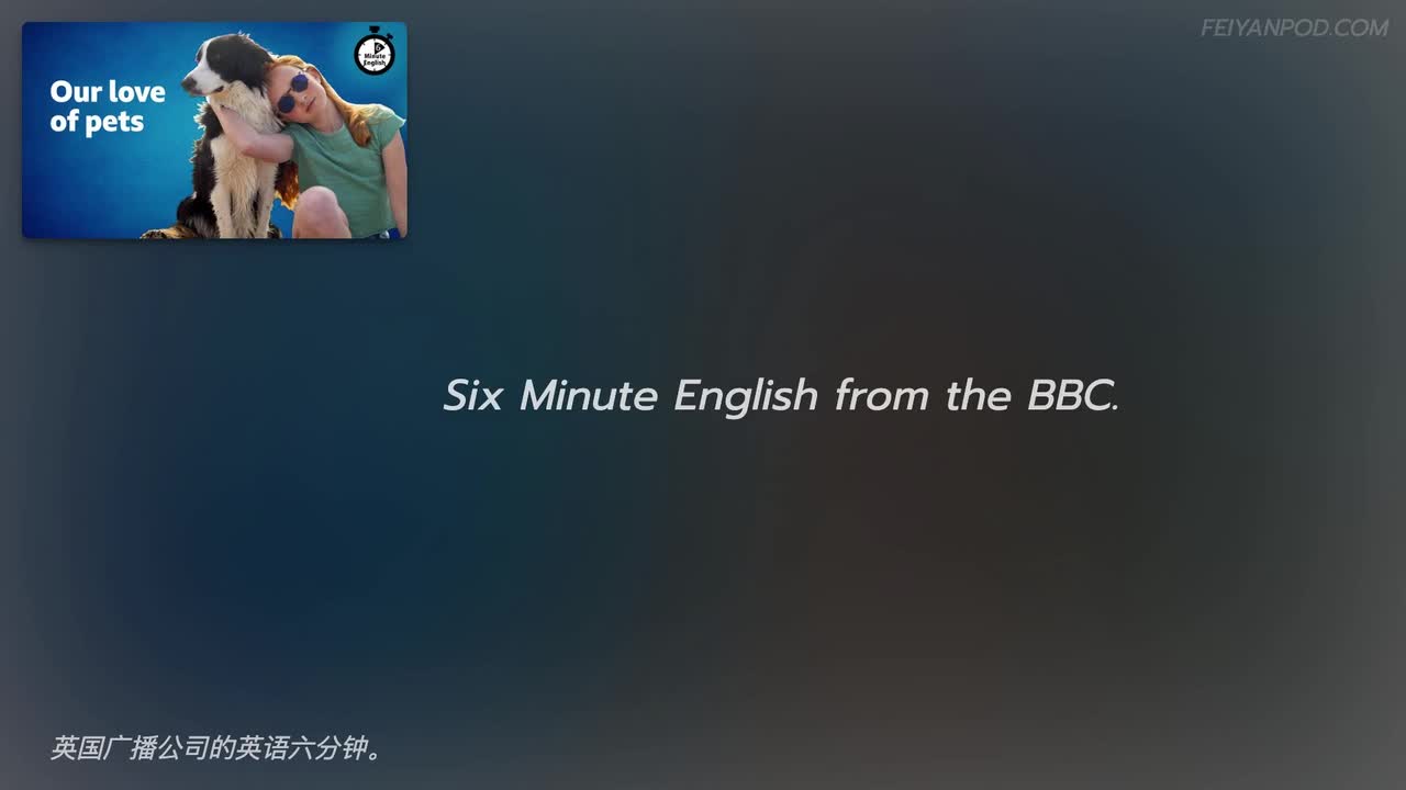 2024-01-04 | Our love of pets